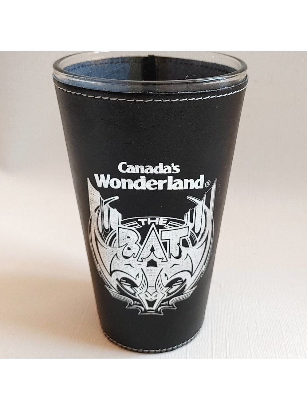 Canada's Wonderland The Bat Amusement Park Ride Glass Rollercoaster